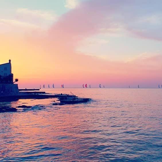 Apartmani Marina Poreč Dış mekan fotoğraf