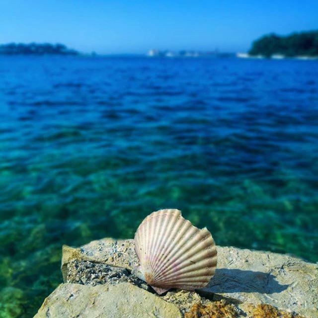 Apartmani Marina Poreč Dış mekan fotoğraf